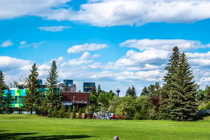 Everyday life in South Calgary
